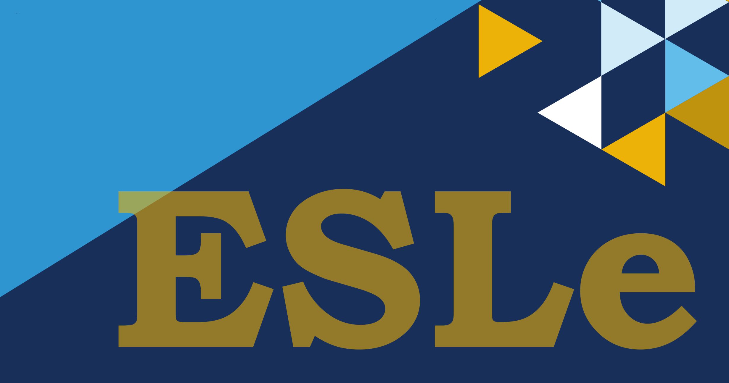 El Enfoque Sistemático  <br/>de la Lengua<span style="color:#edb207"> (ESLe)</span>